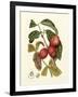 Island Fruits III-Berthe Hoola Van Nooten-Framed Art Print