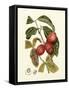 Island Fruits III-Berthe Hoola Van Nooten-Framed Stretched Canvas