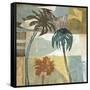 Island Hop I-David Dauncey-Framed Stretched Canvas