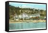 Island House, Mackinac Island, Michigan-null-Framed Stretched Canvas