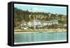 Island House, Mackinac Island, Michigan-null-Framed Stretched Canvas