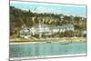 Island House, Mackinac Island, Michigan-null-Mounted Art Print