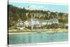 Island House, Mackinac Island, Michigan-null-Stretched Canvas