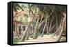 Island House-Art Fronckowiak-Framed Stretched Canvas