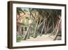 Island House-Art Fronckowiak-Framed Art Print