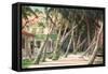 Island House-Art Fronckowiak-Framed Stretched Canvas