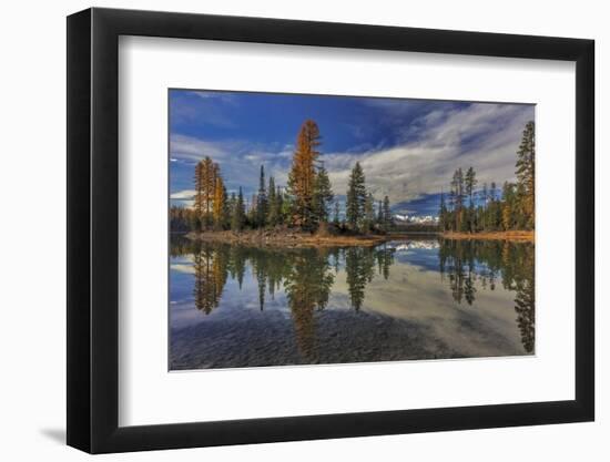 Island in autumn on Holland Lake in the Flathead National Forest, Montana, USA-Chuck Haney-Framed Photographic Print