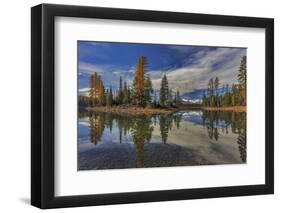 Island in autumn on Holland Lake in the Flathead National Forest, Montana, USA-Chuck Haney-Framed Photographic Print