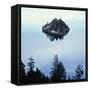 Island in Lake Tahoe-Micha Pawlitzki-Framed Stretched Canvas