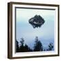 Island in Lake Tahoe-Micha Pawlitzki-Framed Photographic Print