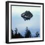 Island in Lake Tahoe-Micha Pawlitzki-Framed Photographic Print