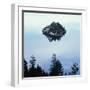 Island in Lake Tahoe-Micha Pawlitzki-Framed Photographic Print