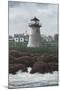 Island Light-David Knowlton-Mounted Giclee Print