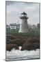 Island Light-David Knowlton-Mounted Giclee Print