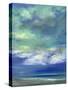 Island Midday-Sheila Finch-Stretched Canvas