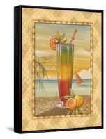 Island Nectar II-Charlene Audrey-Framed Stretched Canvas