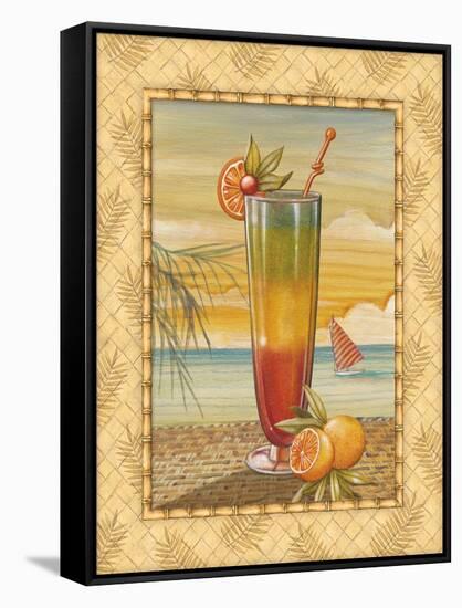 Island Nectar II-Charlene Audrey-Framed Stretched Canvas