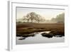 Island Oak Trees-Alan Blaustein-Framed Photographic Print