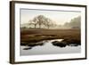 Island Oak Trees-Alan Blaustein-Framed Photographic Print