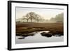 Island Oak Trees-Alan Blaustein-Framed Photographic Print