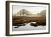 Island Oak Trees-Alan Blaustein-Framed Photographic Print