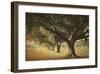 Island Oak-William Guion-Framed Giclee Print