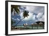 Island of Bora Bora-Woolfy-Framed Photographic Print