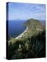 Island of Filicudi, Aeolian Islands, Unesco World Heritage Site, Italy-Oliviero Olivieri-Stretched Canvas