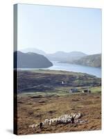 Island of Harris, Western Isles, Scotland, United Kingdom-Oliviero Olivieri-Stretched Canvas