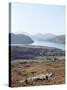 Island of Harris, Western Isles, Scotland, United Kingdom-Oliviero Olivieri-Stretched Canvas