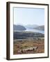 Island of Harris, Western Isles, Scotland, United Kingdom-Oliviero Olivieri-Framed Photographic Print