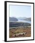 Island of Harris, Western Isles, Scotland, United Kingdom-Oliviero Olivieri-Framed Photographic Print