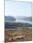 Island of Harris, Western Isles, Scotland, United Kingdom-Oliviero Olivieri-Mounted Photographic Print