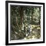 Island of Java (Indonesia), the Fountain of Ka-Leon, Levy et Fils-Framed Photographic Print