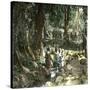 Island of Java (Indonesia), the Fountain of Ka-Leon, Levy et Fils-Stretched Canvas