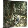 Island of Java (Indonesia), the Fountain of Ka-Leon, Levy et Fils-Mounted Photographic Print