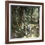 Island of Java (Indonesia), the Fountain of Ka-Leon, Levy et Fils-Framed Photographic Print