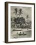 Island of Madagascar, Tamatave-null-Framed Giclee Print