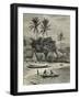 Island of Madagascar, Tamatave-null-Framed Giclee Print