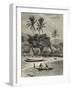 Island of Madagascar, Tamatave-null-Framed Giclee Print