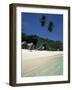 Island of Phi Phi Don, off Phuket, Thailand, Southeast Asia-Ruth Tomlinson-Framed Photographic Print