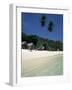 Island of Phi Phi Don, off Phuket, Thailand, Southeast Asia-Ruth Tomlinson-Framed Photographic Print