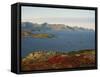 Island of Senja Viewed from Sommeroy, Near Tromso, Arctic Norway, Scandinavia, Europe-Dominic Harcourt-webster-Framed Stretched Canvas