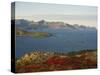 Island of Senja Viewed from Sommeroy, Near Tromso, Arctic Norway, Scandinavia, Europe-Dominic Harcourt-webster-Stretched Canvas