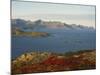 Island of Senja Viewed from Sommeroy, Near Tromso, Arctic Norway, Scandinavia, Europe-Dominic Harcourt-webster-Mounted Photographic Print
