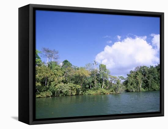Island on Gatun Lake, Soberania Forest National Park, Panama Canal, Panama, Central America-Sergio Pitamitz-Framed Stretched Canvas