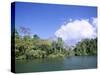 Island on Gatun Lake, Soberania Forest National Park, Panama Canal, Panama, Central America-Sergio Pitamitz-Stretched Canvas