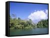 Island on Gatun Lake, Soberania Forest National Park, Panama Canal, Panama, Central America-Sergio Pitamitz-Framed Stretched Canvas