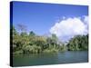 Island on Gatun Lake, Soberania Forest National Park, Panama Canal, Panama, Central America-Sergio Pitamitz-Stretched Canvas