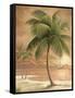 Island Palm I-Ron Jenkins-Framed Stretched Canvas